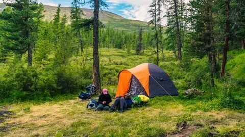 Camping in the Wilderness